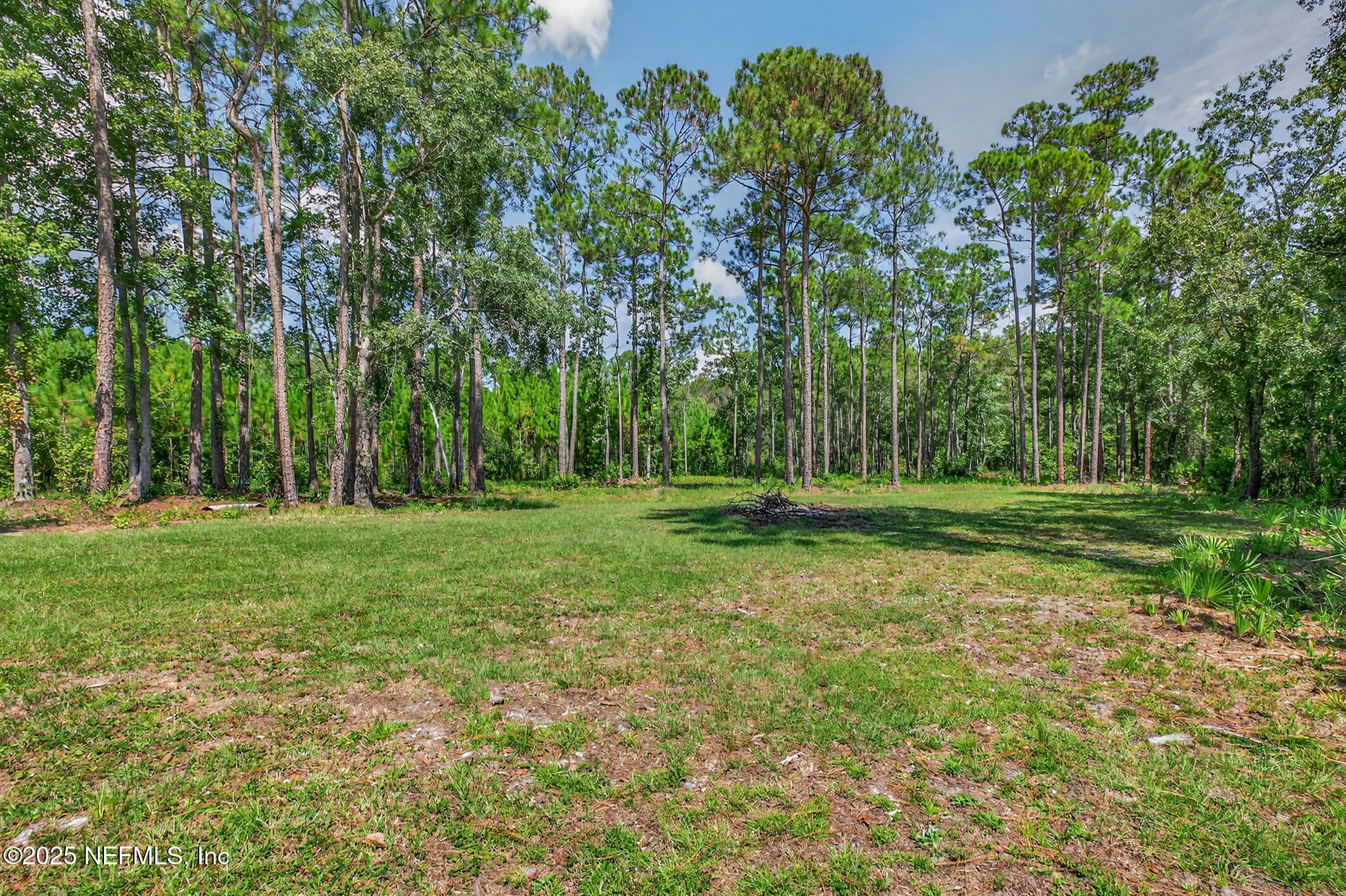 3411 Russell Road Green Cove Springs, FL 32043 - Photo 28 of 37 3411 Russell Rd (46)