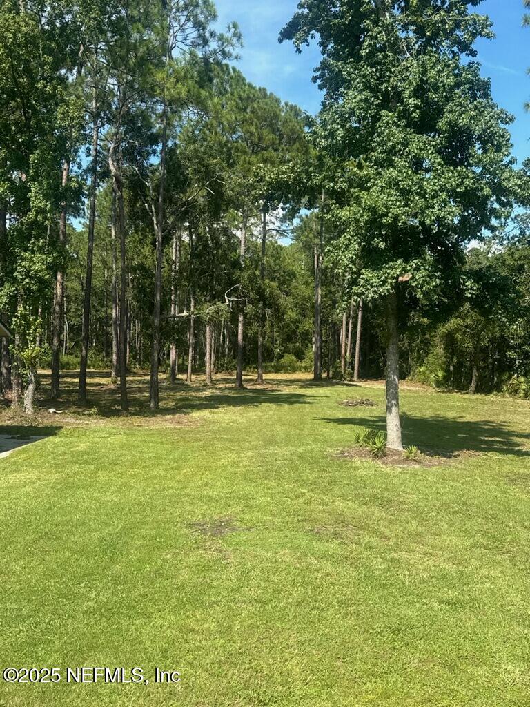 3411 Russell Road Green Cove Springs, FL 32043 - Photo 29 of 37 imagejpeg_0001