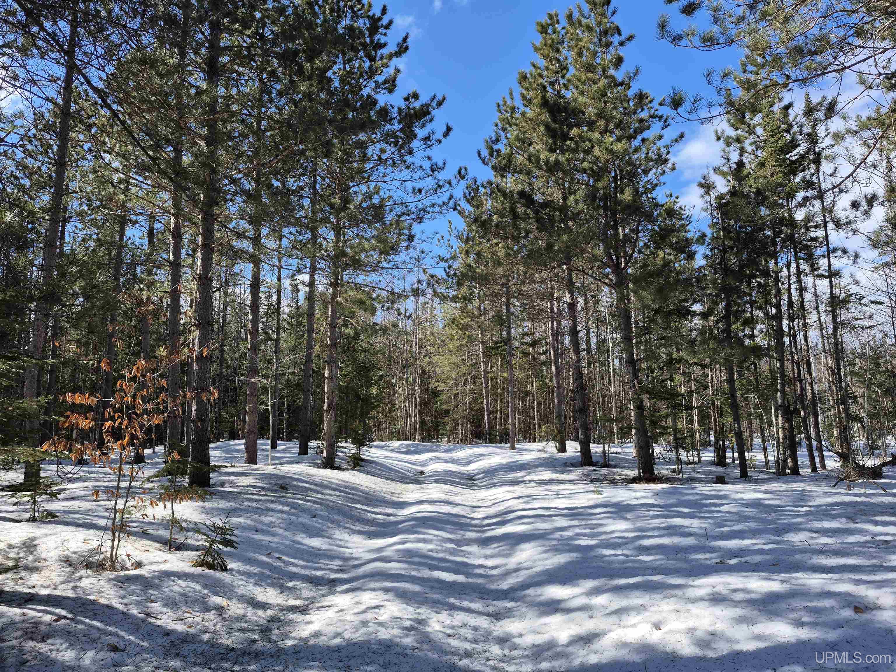 20-acres Off Flodin Road Manistique, MI 49854 - Photo 10 of 29