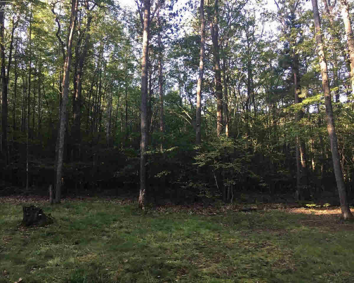 11186 Maple Ridge Way Roscommon, MI 48653 - Photo 23 of 27 21368202-22.JPG