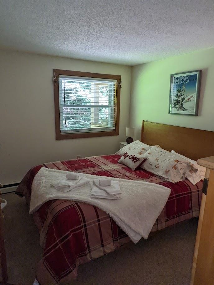 29 Iron Ledge Road Bartlett, NH 03838 - Photo 14 of 29