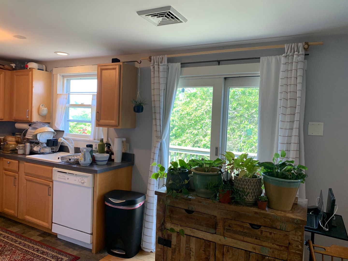 5 Salros Road Nantucket, MA 02554 - Photo 4 of 24 a kitchen with a potted plant on the counter and a wooden floor