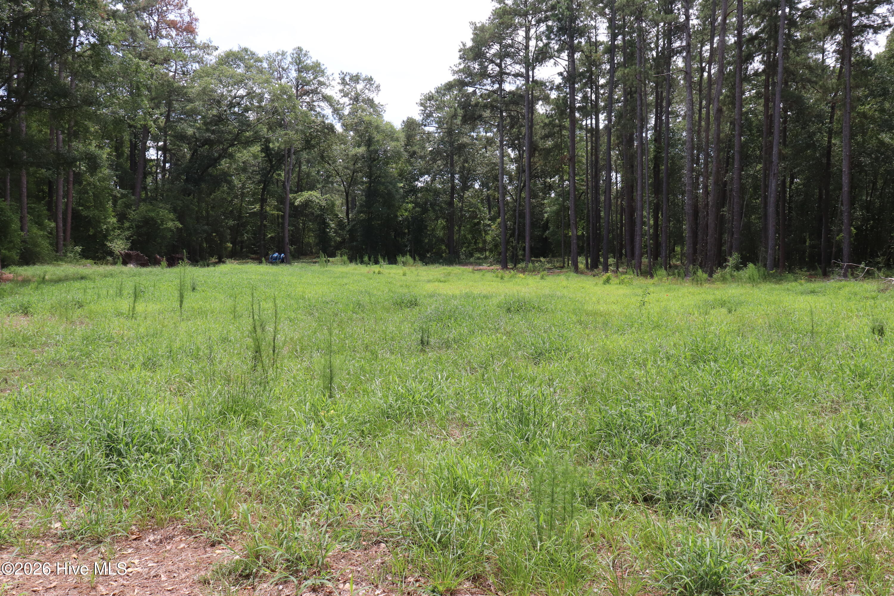 Tbd Hayne Stretch Road Roseboro, NC 28382 - Photo 11 of 31