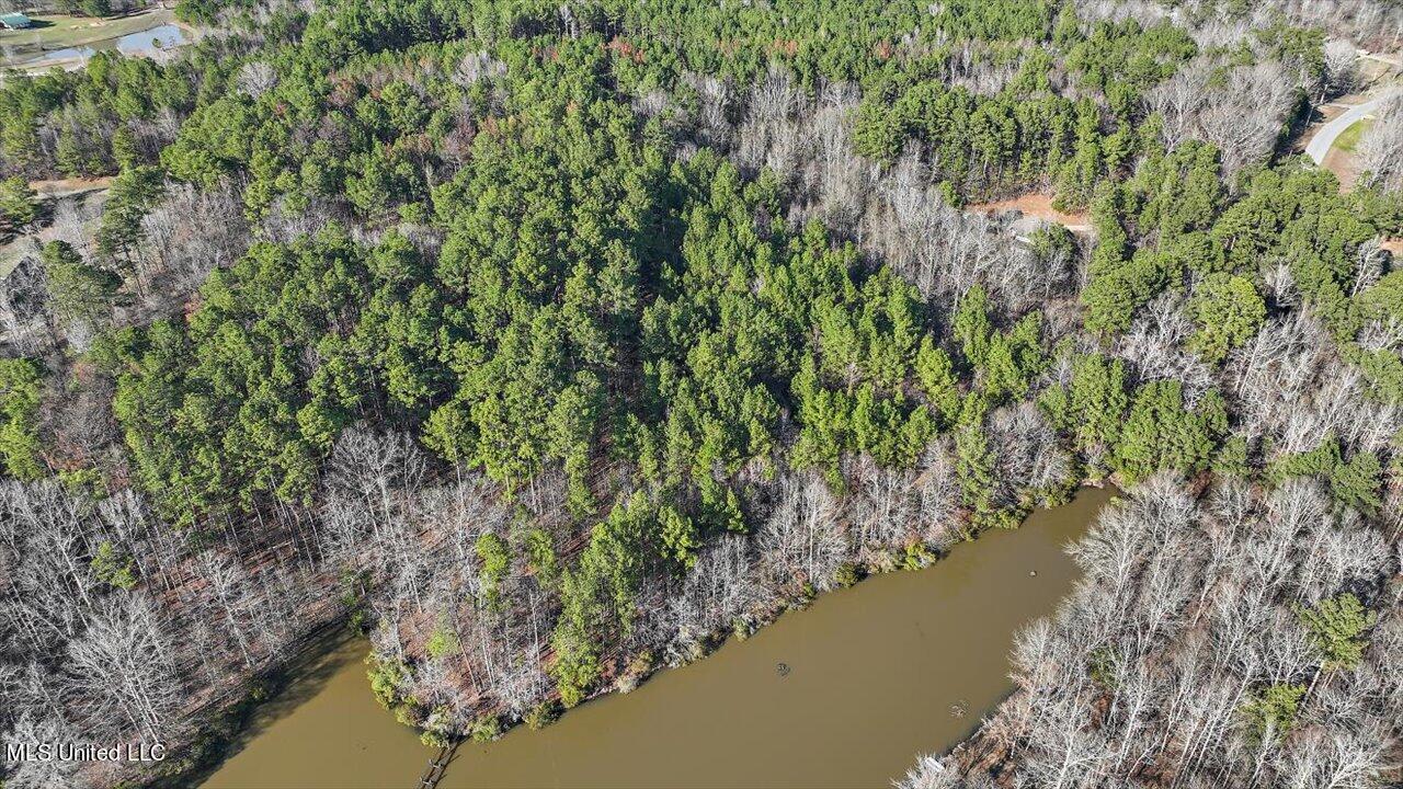 1074 Ridgeside Drive Brandon, MS 39042 - Photo 5 of 30 04-1074 Ridgeside Dr