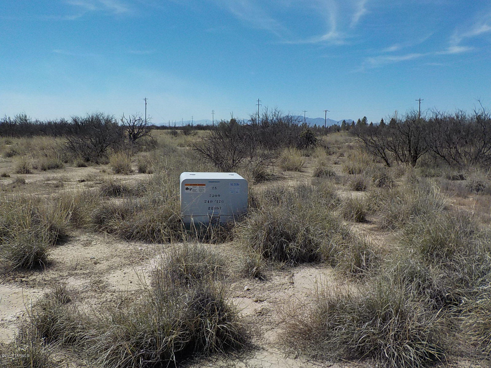 338 Taylor Road Willcox, AZ 85643 - Photo 16 of 21 a view of a dry yard with trees