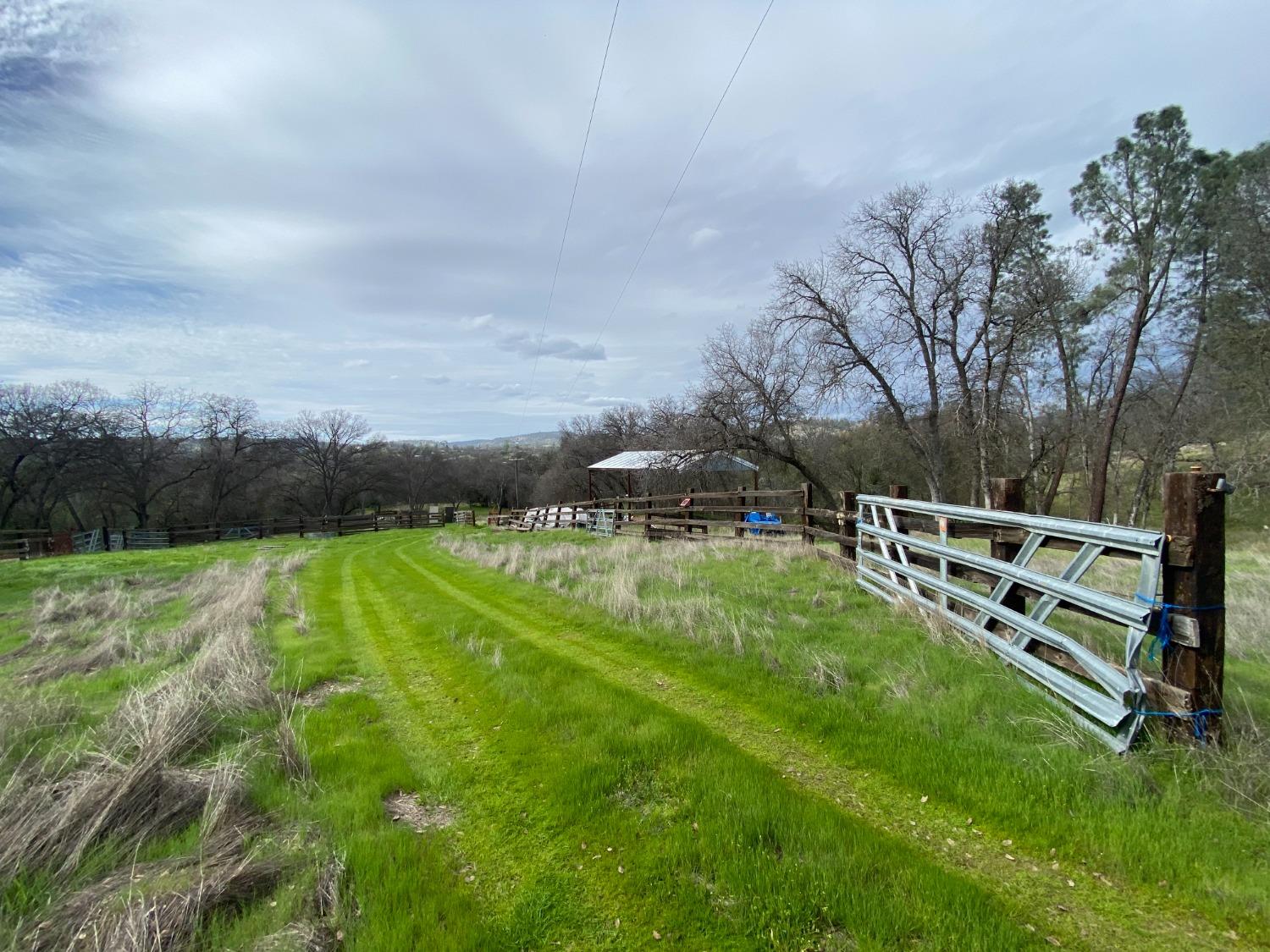 34114 Polk Ranch Road Coarsegold, CA 93614 - Photo 57 of 70 Gallery Image 57
