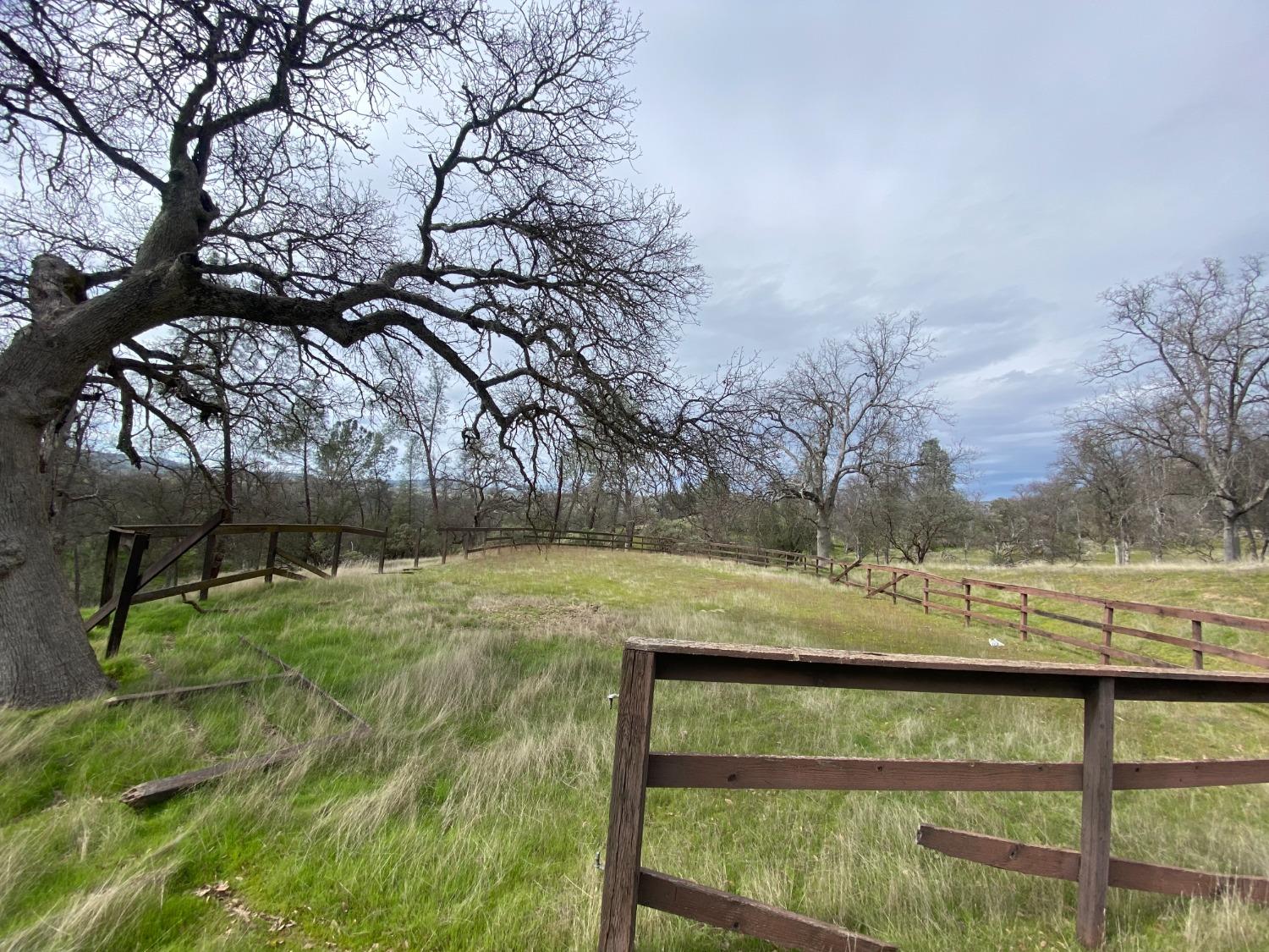 34114 Polk Ranch Road Coarsegold, CA 93614 - Photo 58 of 70 Gallery Image 58