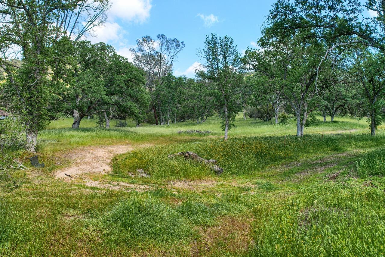 34114 Polk Ranch Road Coarsegold, CA 93614 - Photo 64 of 70 Gallery Image 64