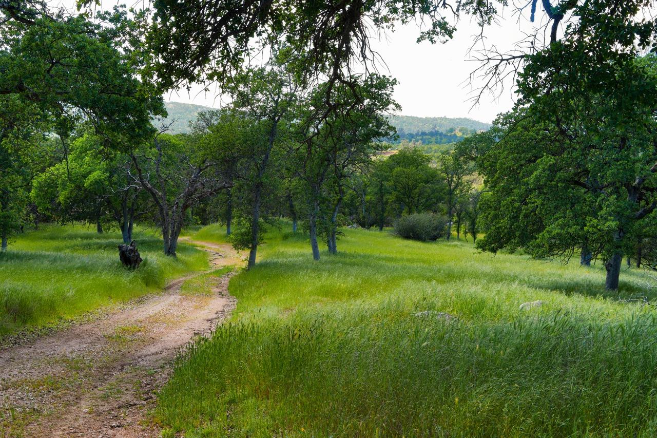 34114 Polk Ranch Road Coarsegold, CA 93614 - Photo 67 of 70 Gallery Image 67