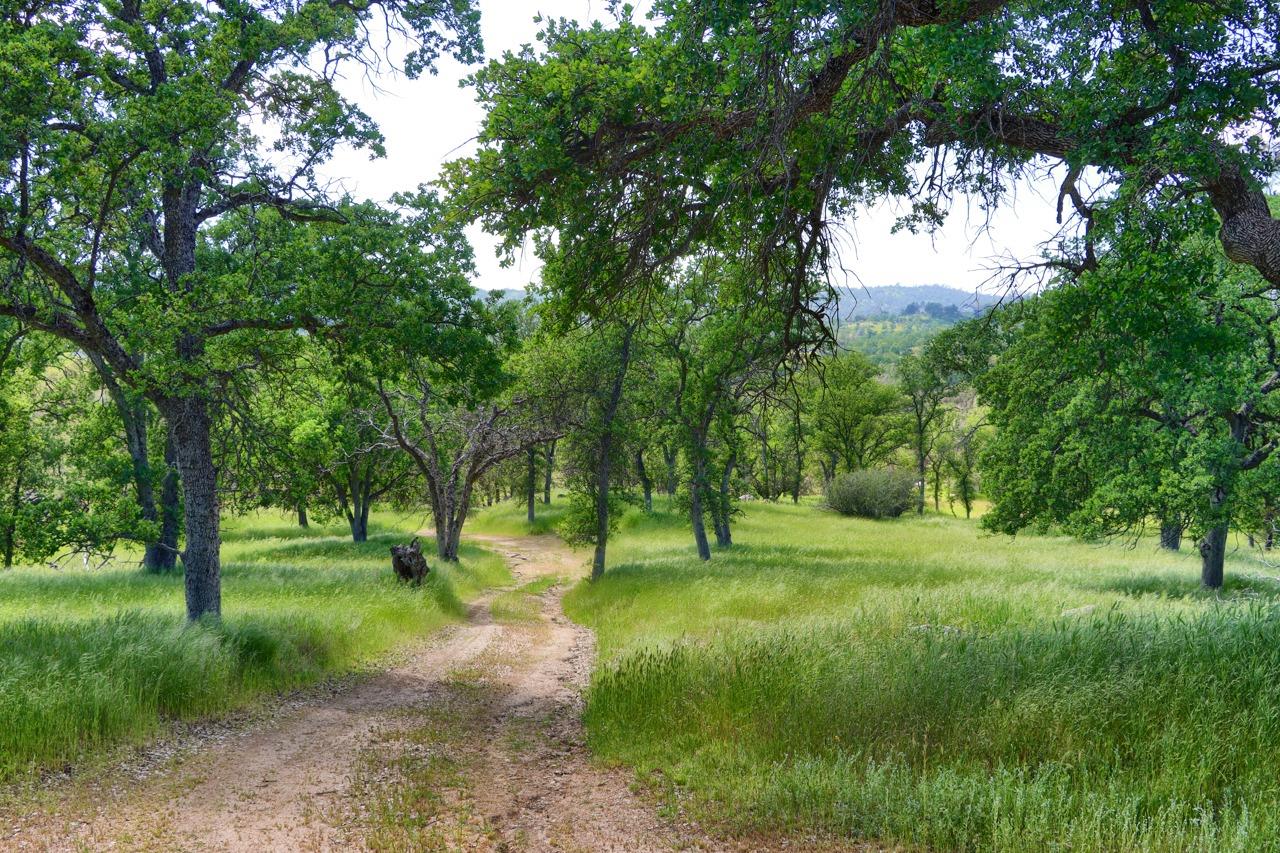 34114 Polk Ranch Road Coarsegold, CA 93614 - Photo 68 of 70 Gallery Image 68