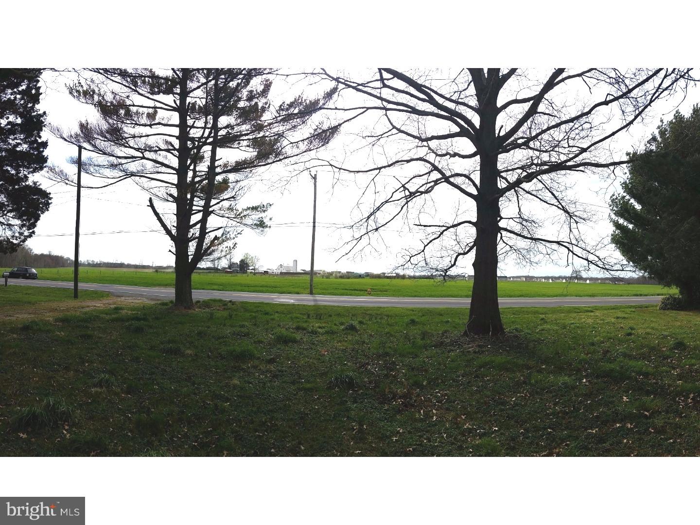 View 1