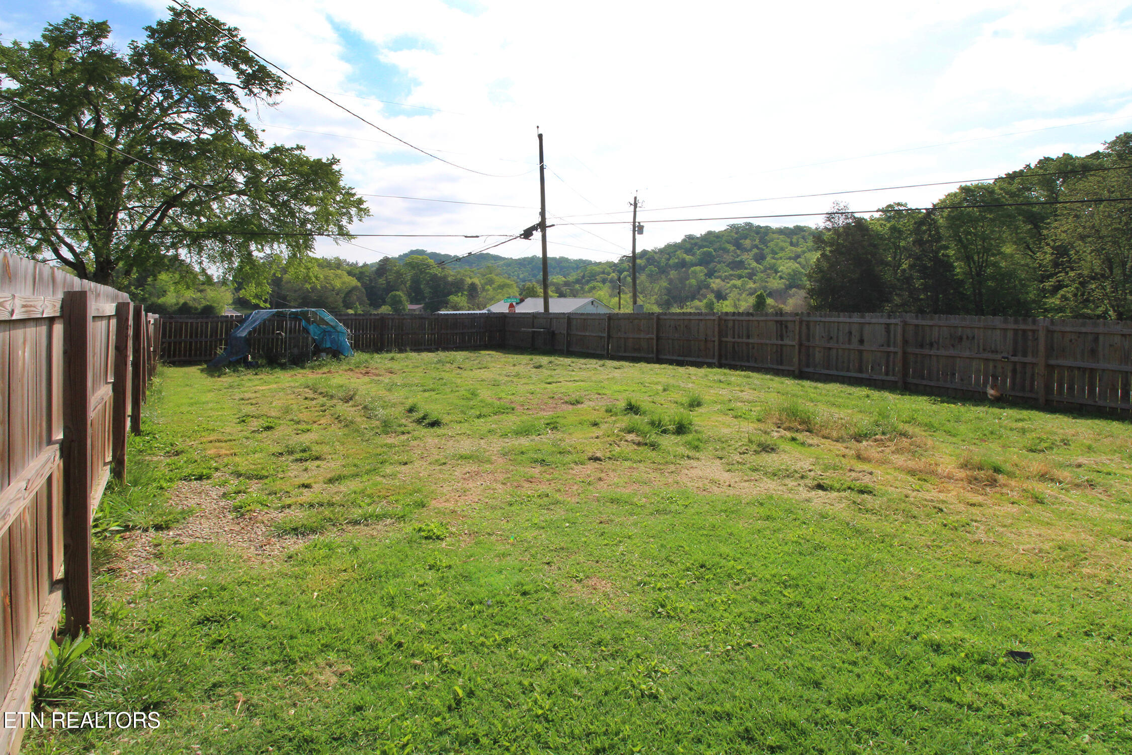 9501 Crisman Road Heiskell, TN 37754 - Photo 20 of 28 Front Yard