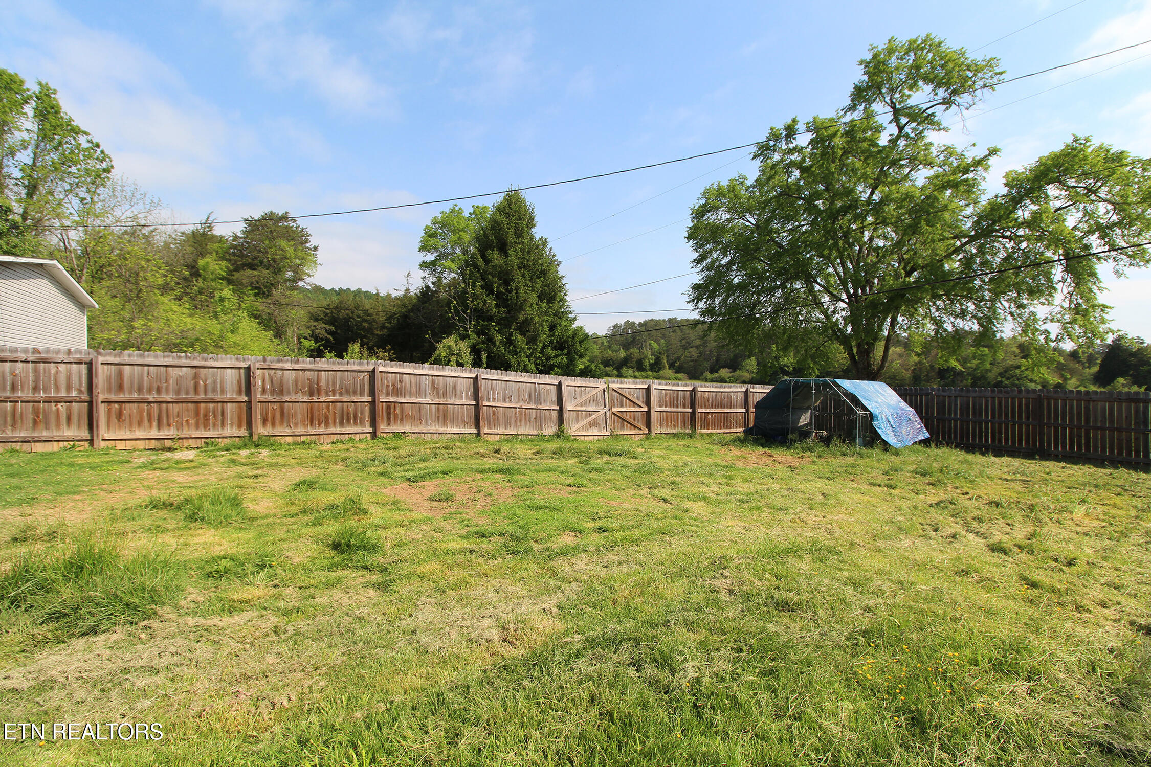 9501 Crisman Road Heiskell, TN 37754 - Photo 21 of 28 Front Yard