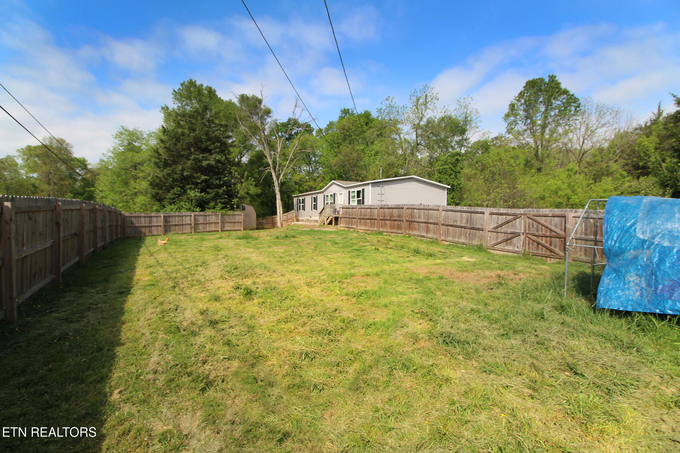 9501 Crisman Road Heiskell, TN 37754 - Photo 22 of 28 Front Yard