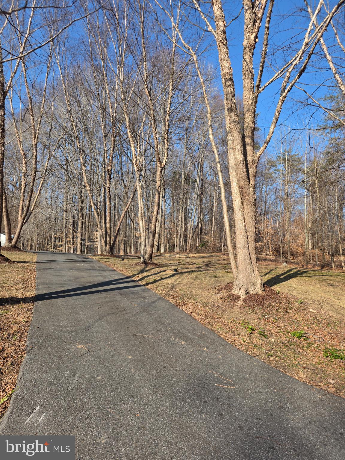 13600 Augusta Hooe Road Upper Marlboro, MD 20772 - Photo 6 of 9 Serene driveway through tranquil woods.