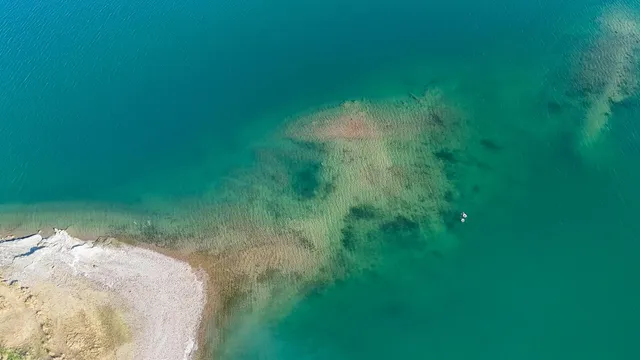 a bedroom with a bed and a closet