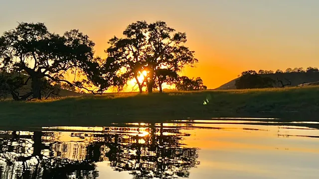 $129,000 | 2000 Camanche Road, Unit 92, Ione, CA 95640