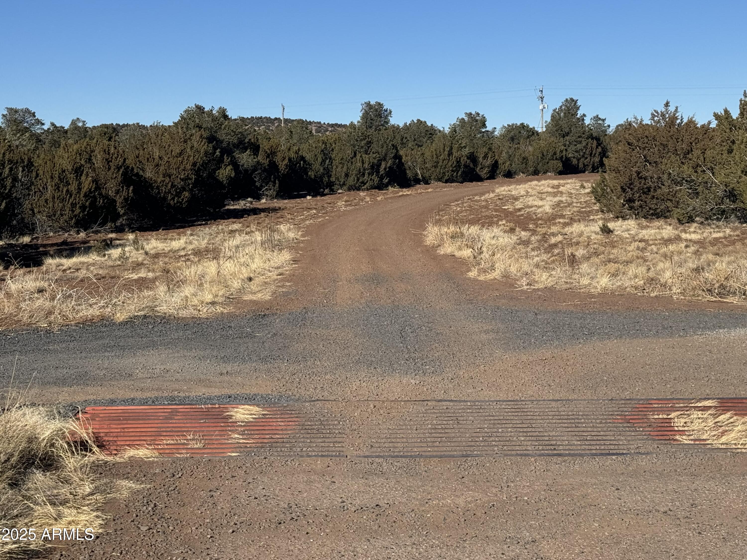 5 Skyline Ranch, Unit 5 Show Low, AZ 85901 - Photo 13 of 14 a view of a yard with a snow