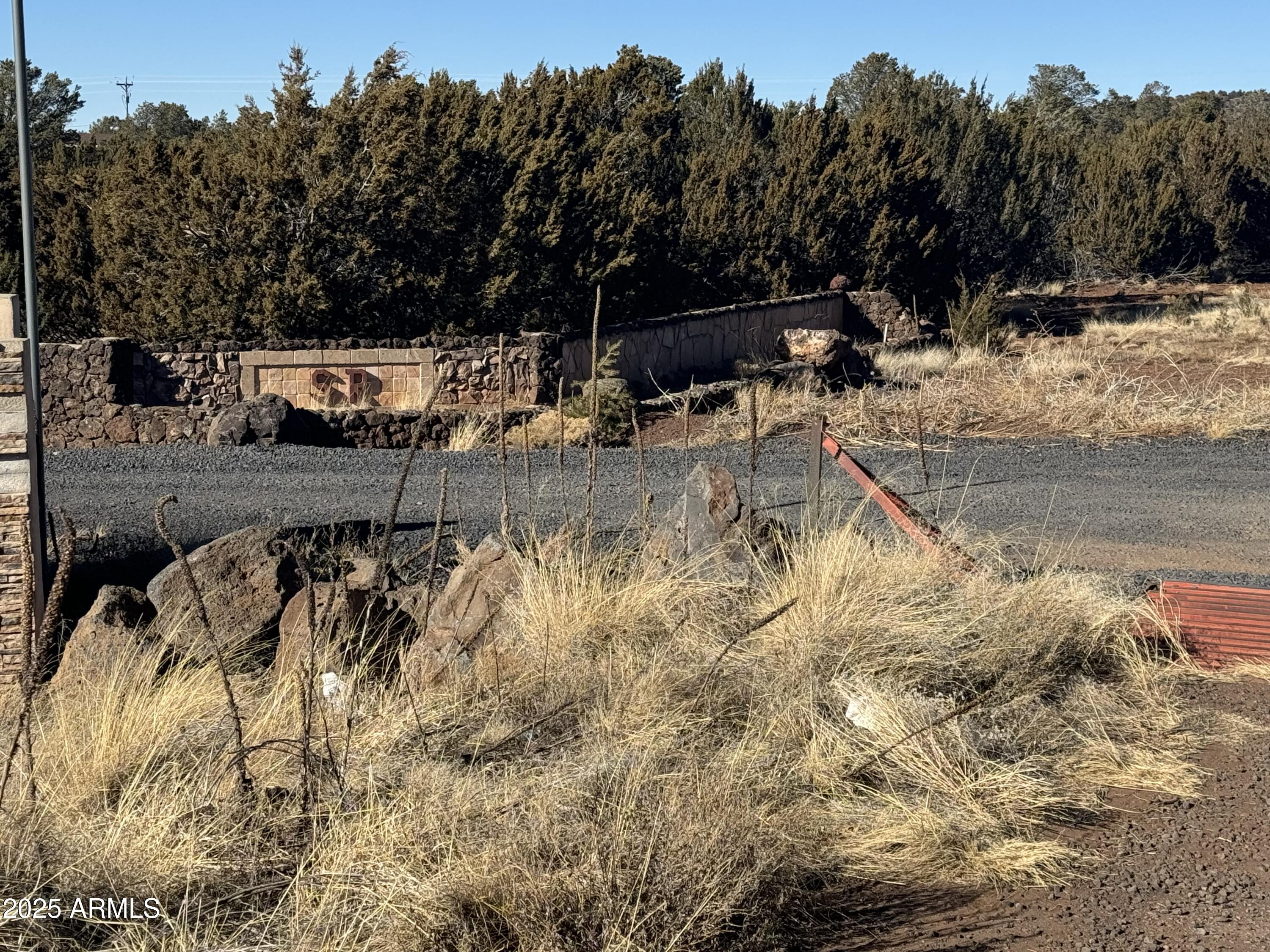 5 Skyline Ranch, Unit 5 Show Low, AZ 85901 - Photo 14 of 14 a view of a yard with trees