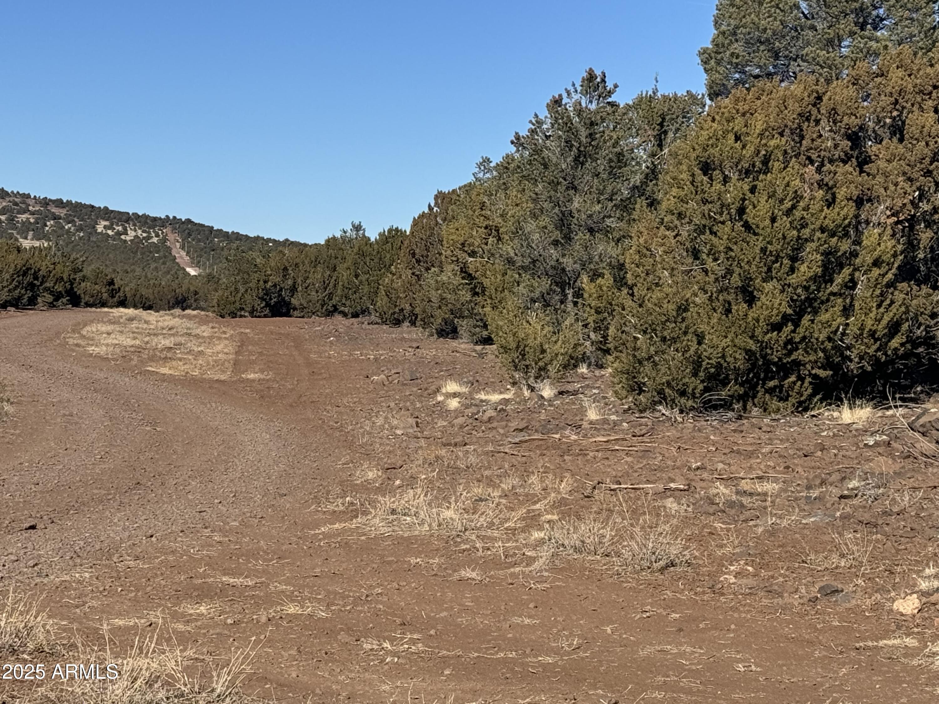 5 Skyline Ranch, Unit 5 Show Low, AZ 85901 - Photo 2 of 14 a view of a field with trees
