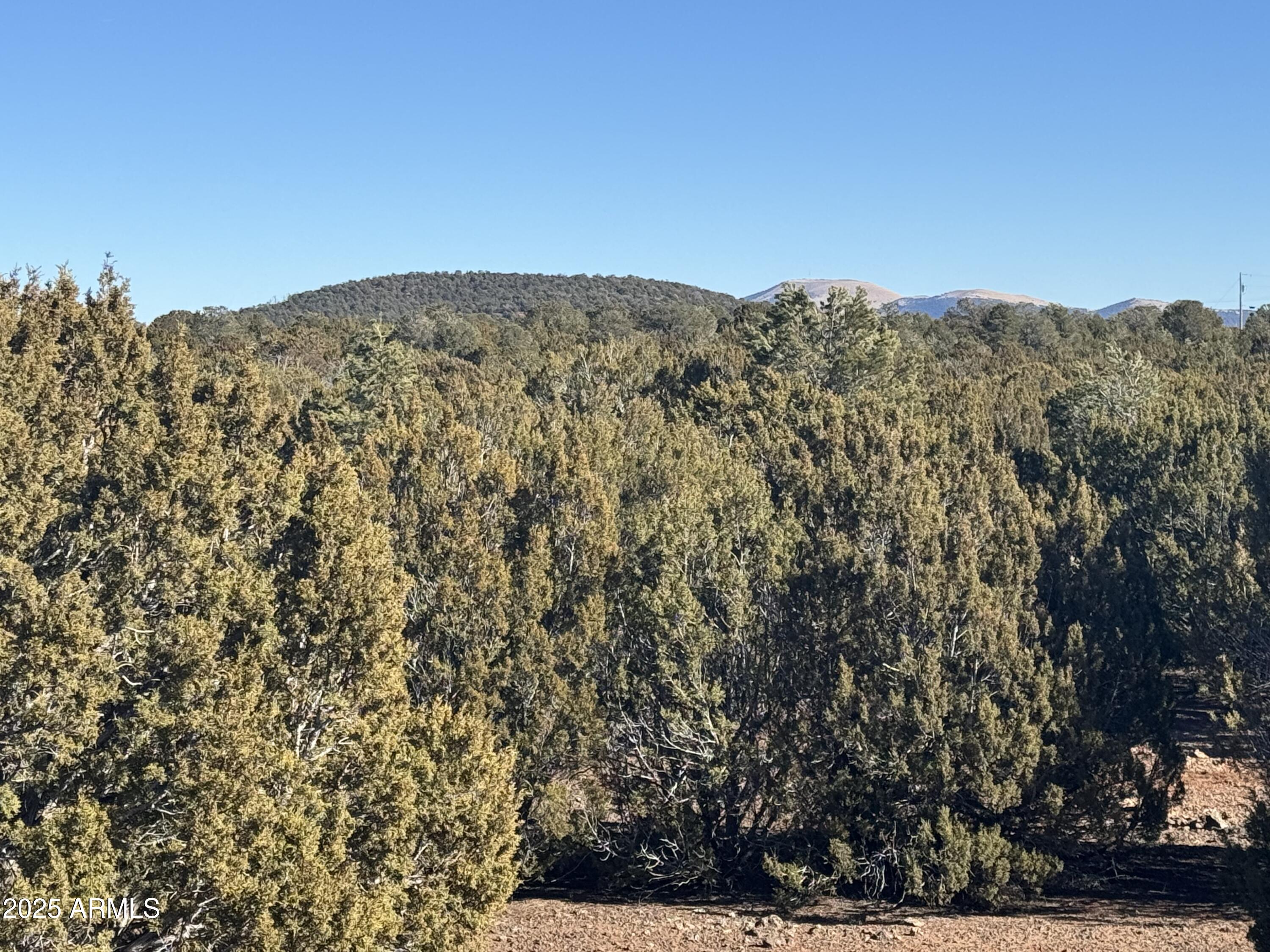 5 Skyline Ranch, Unit 5 Show Low, AZ 85901 - Photo 4 of 14 a view of a mountain