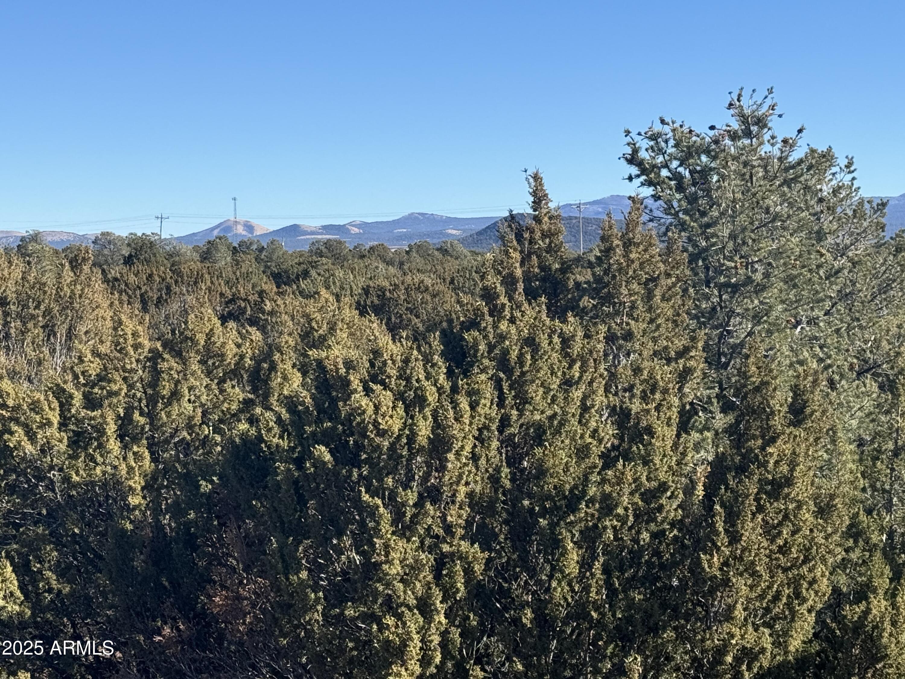 5 Skyline Ranch, Unit 5 Show Low, AZ 85901 - Photo 5 of 14 a view of a large building with a mountain in the background