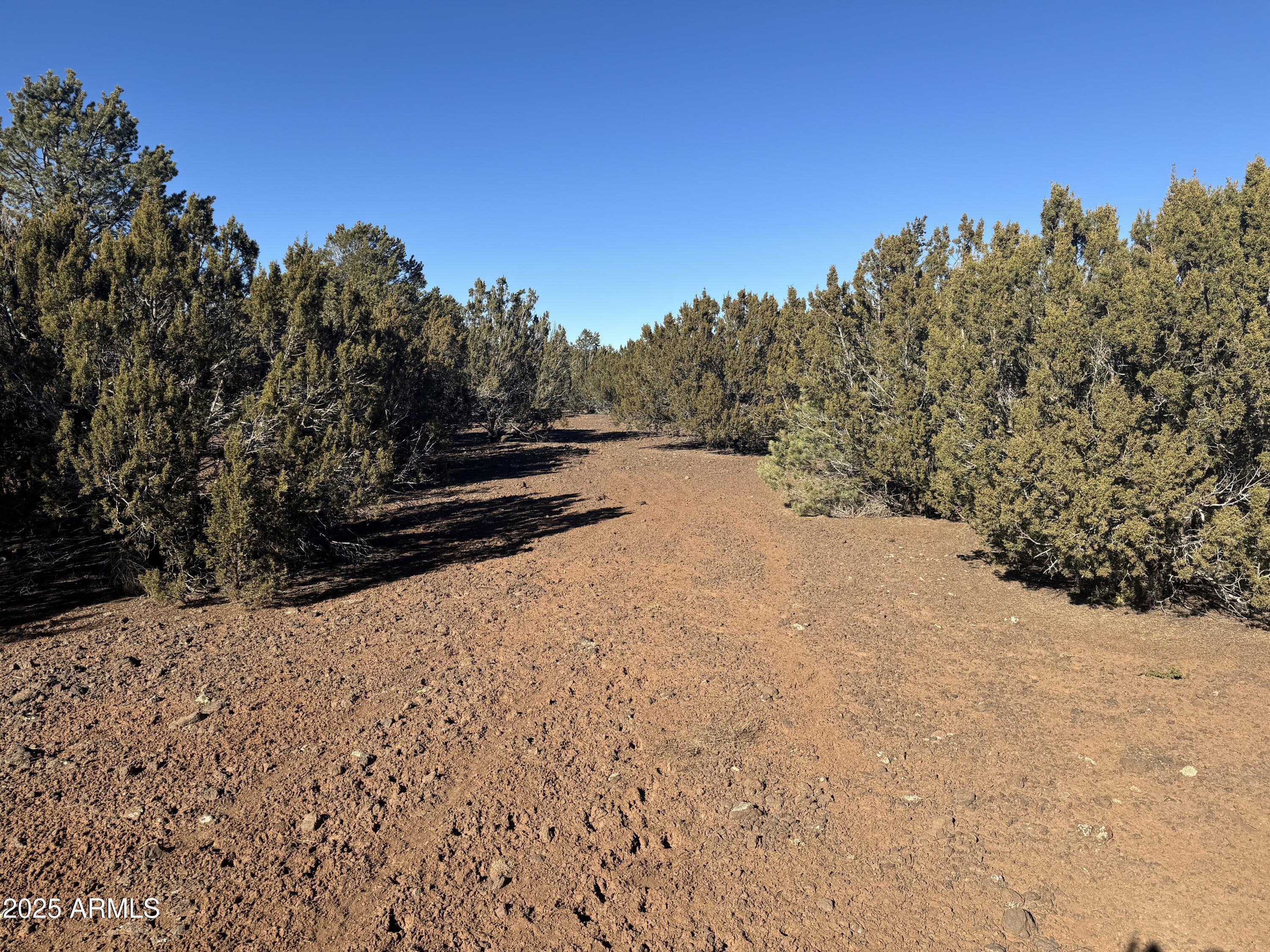 5 Skyline Ranch, Unit 5 Show Low, AZ 85901 - Photo 6 of 14 a view of a snow covered with snow in the background