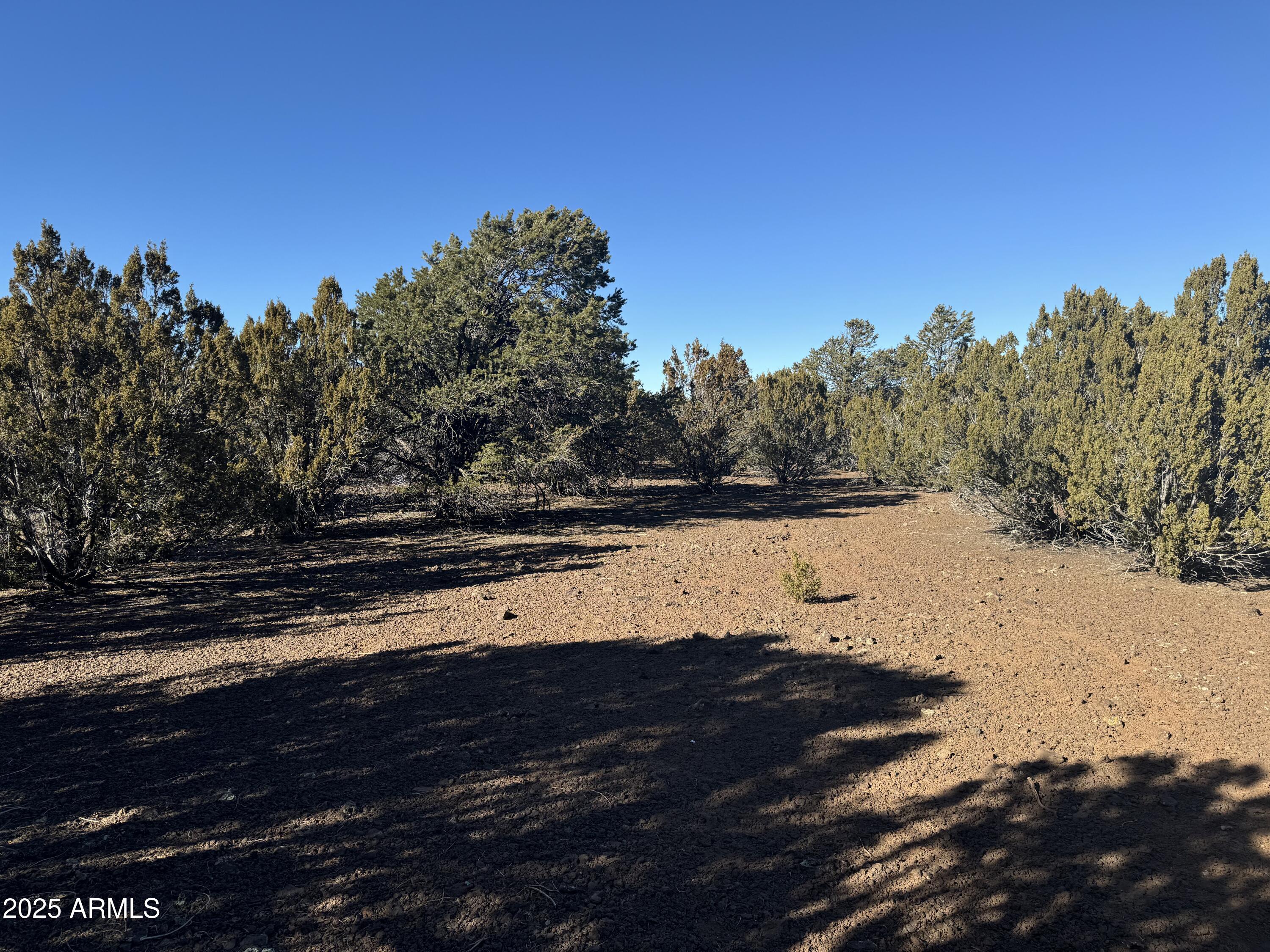 5 Skyline Ranch, Unit 5 Show Low, AZ 85901 - Photo 7 of 14 a view of a lake with trees