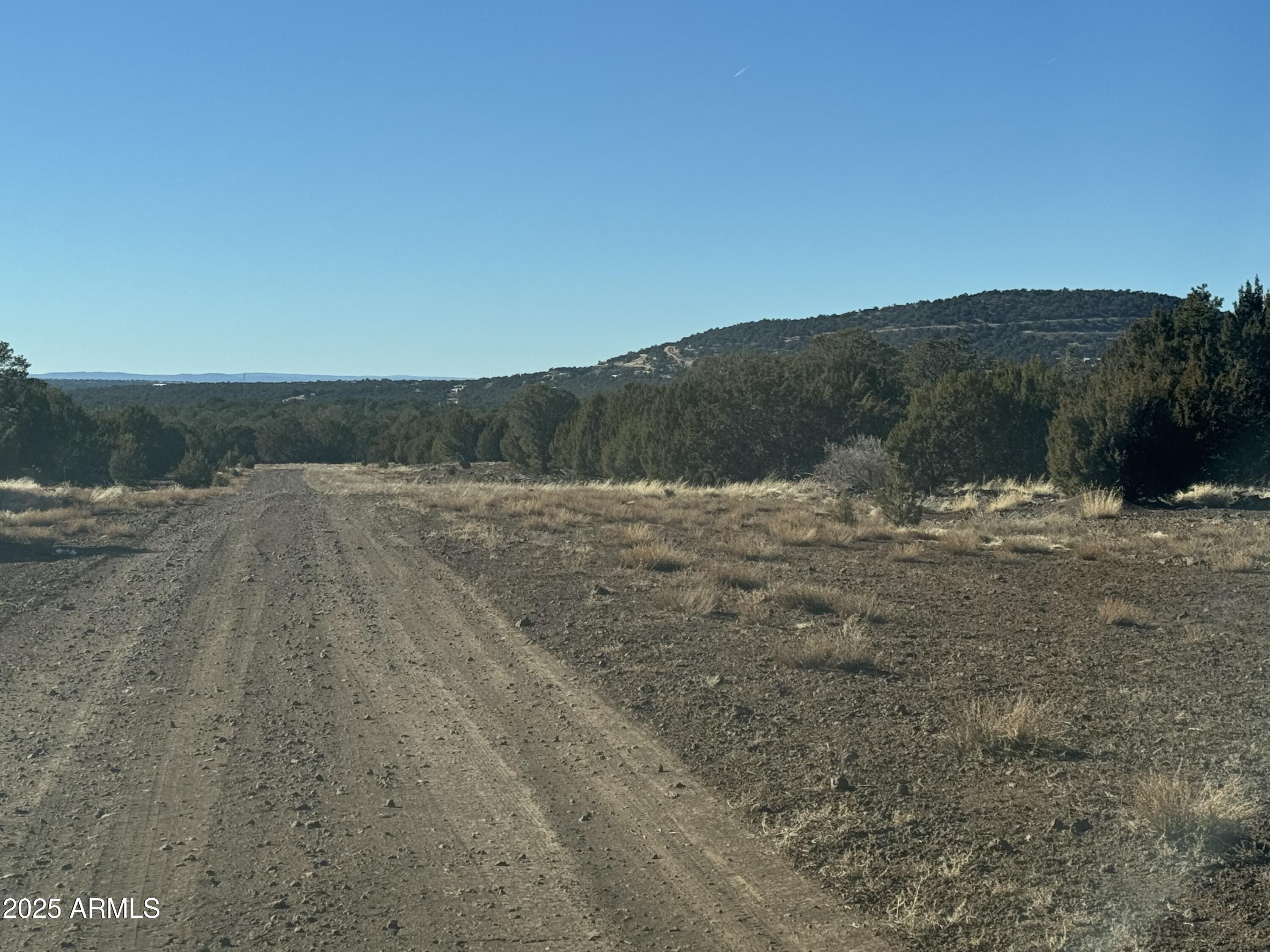 5 Skyline Ranch, Unit 5 Show Low, AZ 85901 - Photo 10 of 14 a view of swimming pool with mountain view