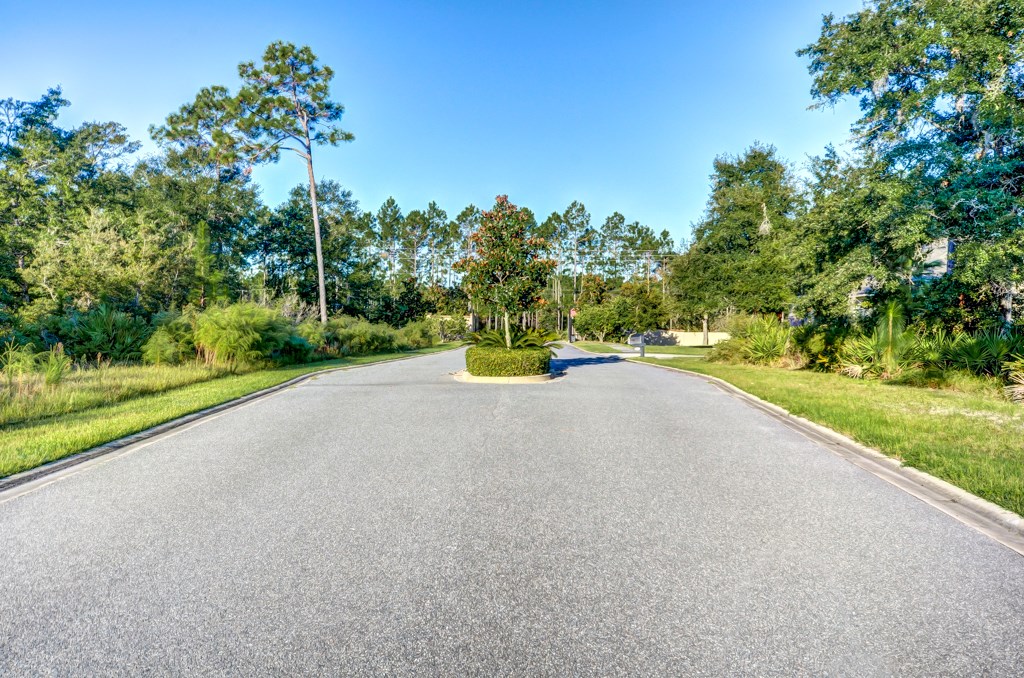 96129 Captains Pointe Road Yulee, FL 32097 - Photo 5 of 7 a view of a road with a yard and a large trees