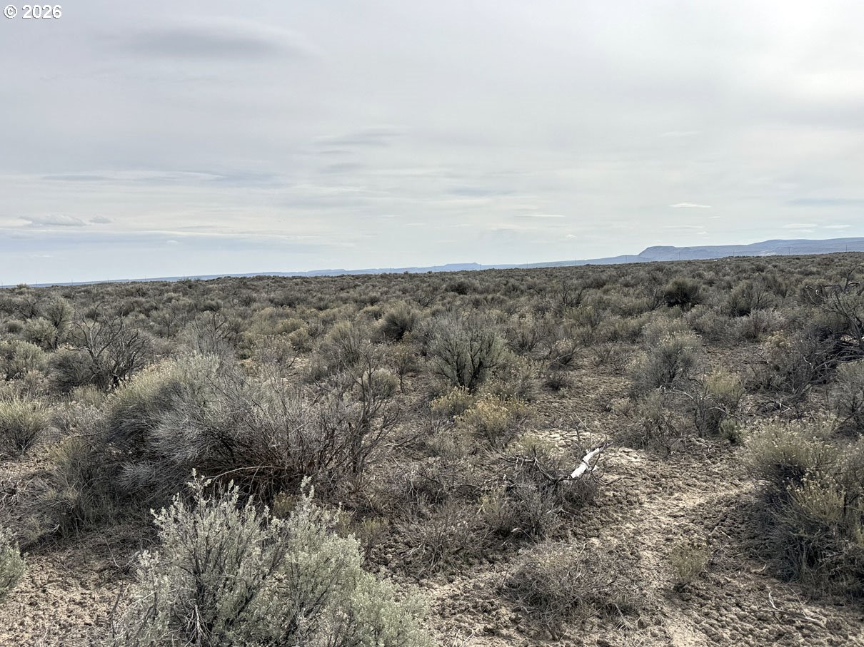 Fossil Lake Road, Unit 100 Christmas Valley, OR 97641 - Photo 16 of 25