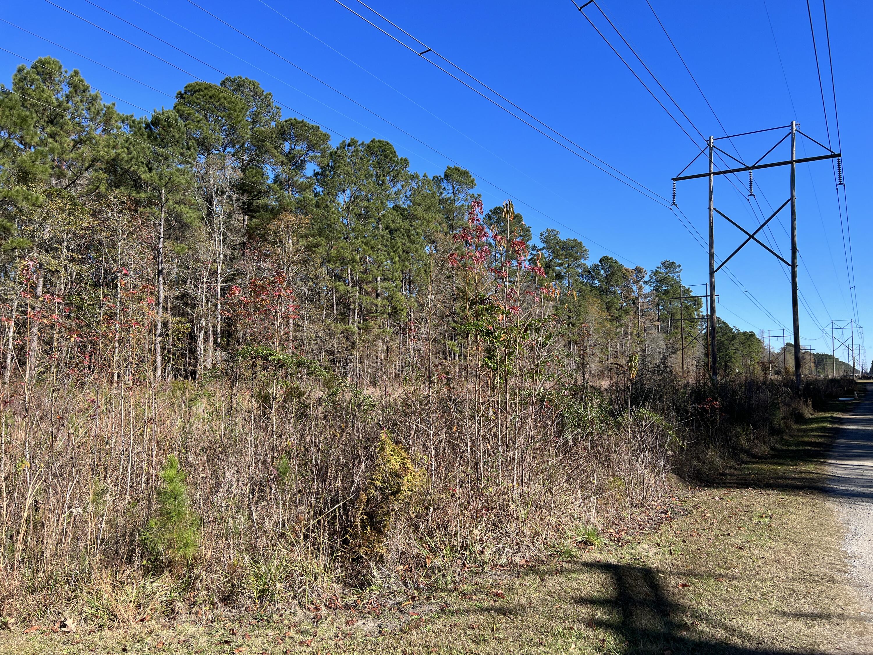 0 Mail Rte Road Bonneau, SC 29431 - Photo 7 of 8 IMG_4140