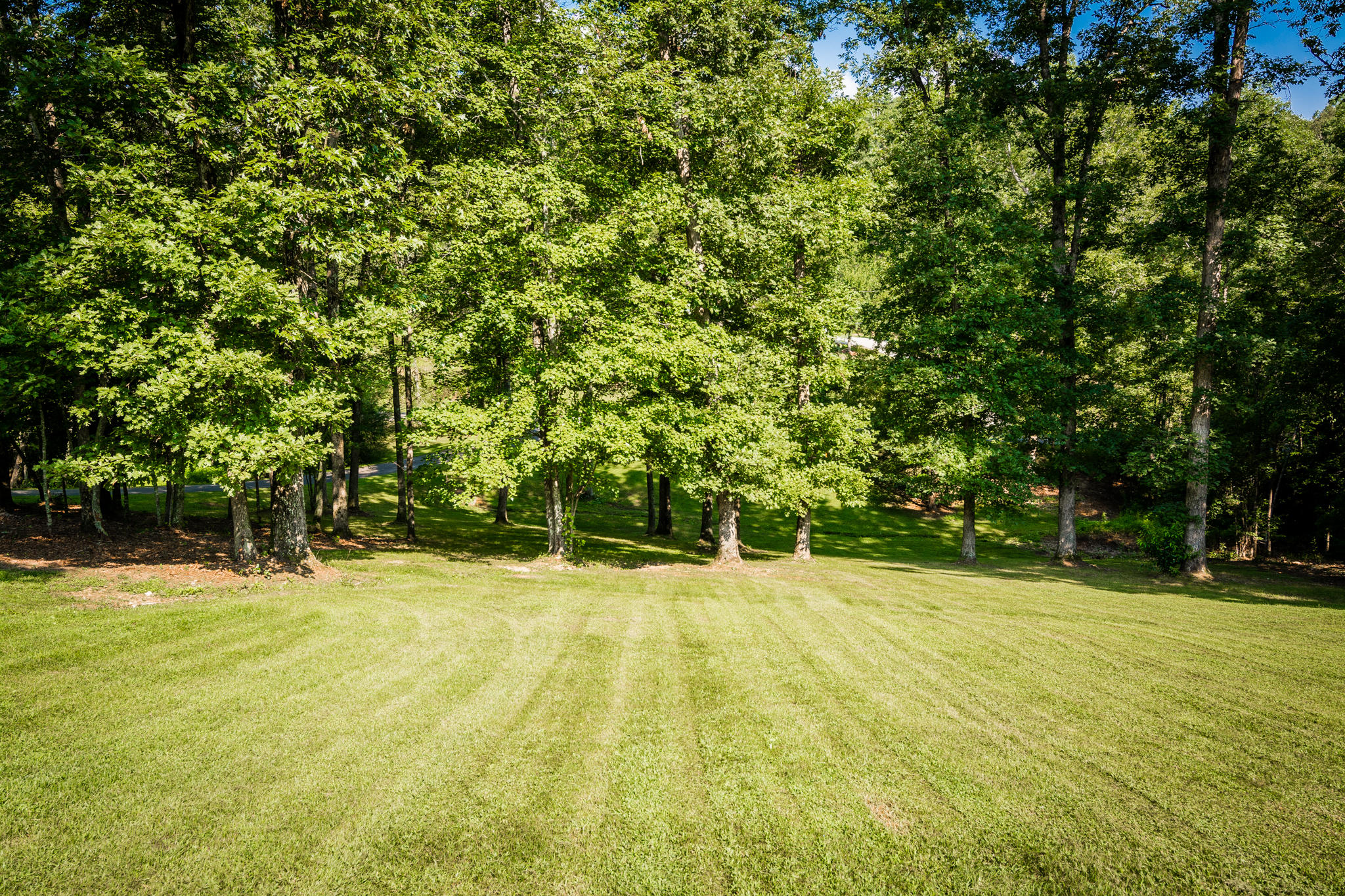 2488 Hudlow Loop Road Dunlap, TN 37327 - Photo 45 of 48 Front Yard