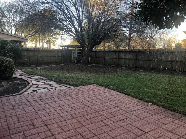 a view of a backyard with plants and trees