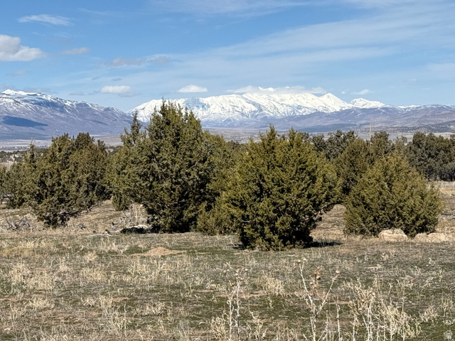 1 Old Highway 89, Unit 1 Spring City, UT 84662 - Photo 4 of 6