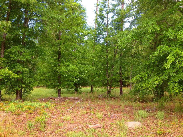 Tract C Township Road Aiken, SC 29803 - Photo 3 of 10