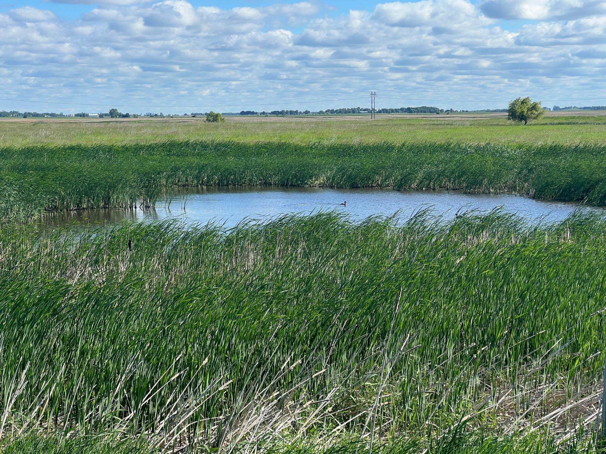 Tbd Southeast Tbd Se 90th Street Rutland, ND 58067 - Photo 55 of 105