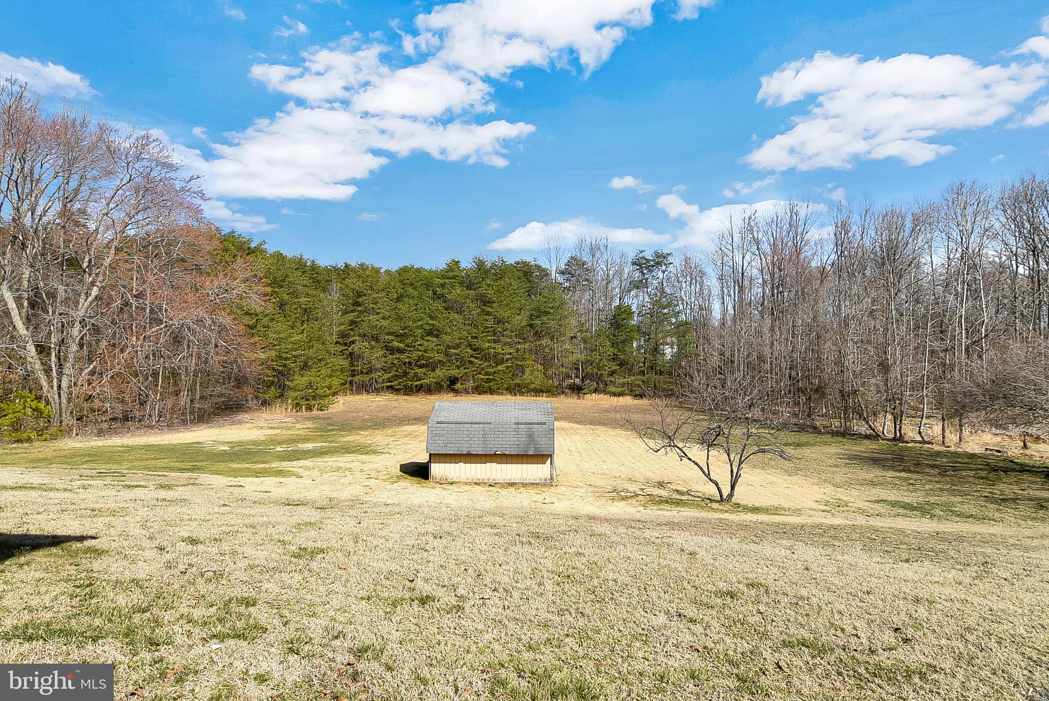 660 Truslow Road Fredericksburg, VA 22406 - Photo 3 of 14 Backyard with shed