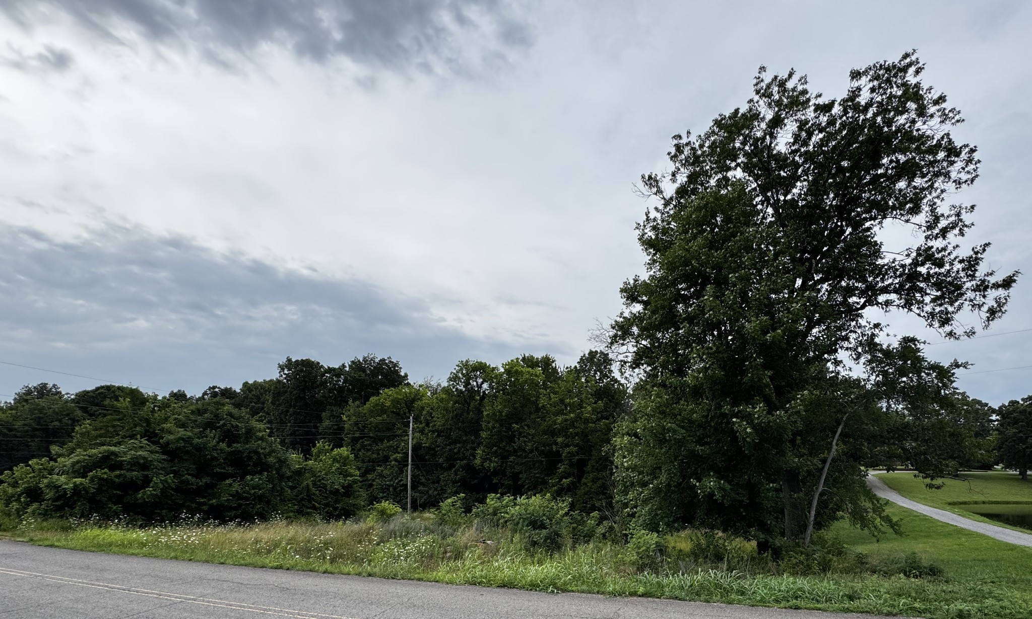 0 Campbell Road Cross Plains, TN 37049 - Photo 6 of 8