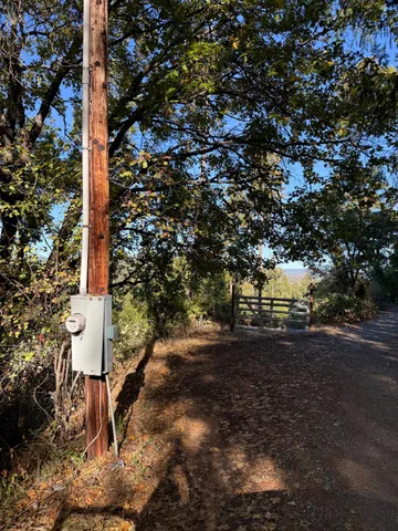 a flag is sitting in the middle of a forest