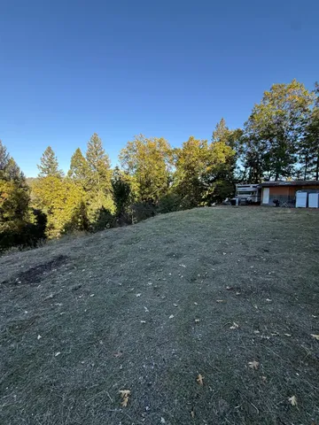 a view of a field with trees in background
