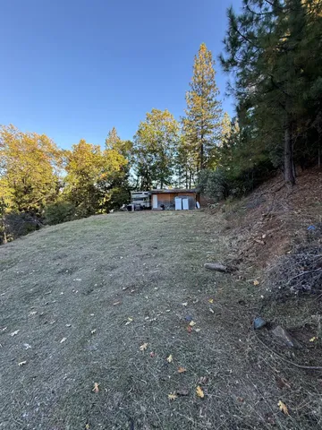 a view of a field with trees in the background