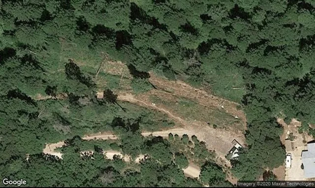 an aerial view of a forest with houses