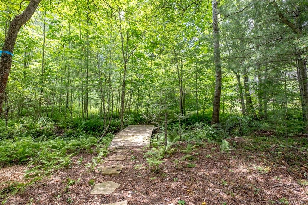 445 Camptown Road Brevard, NC 28712 - Photo 42 of 47 Gallery Image 42