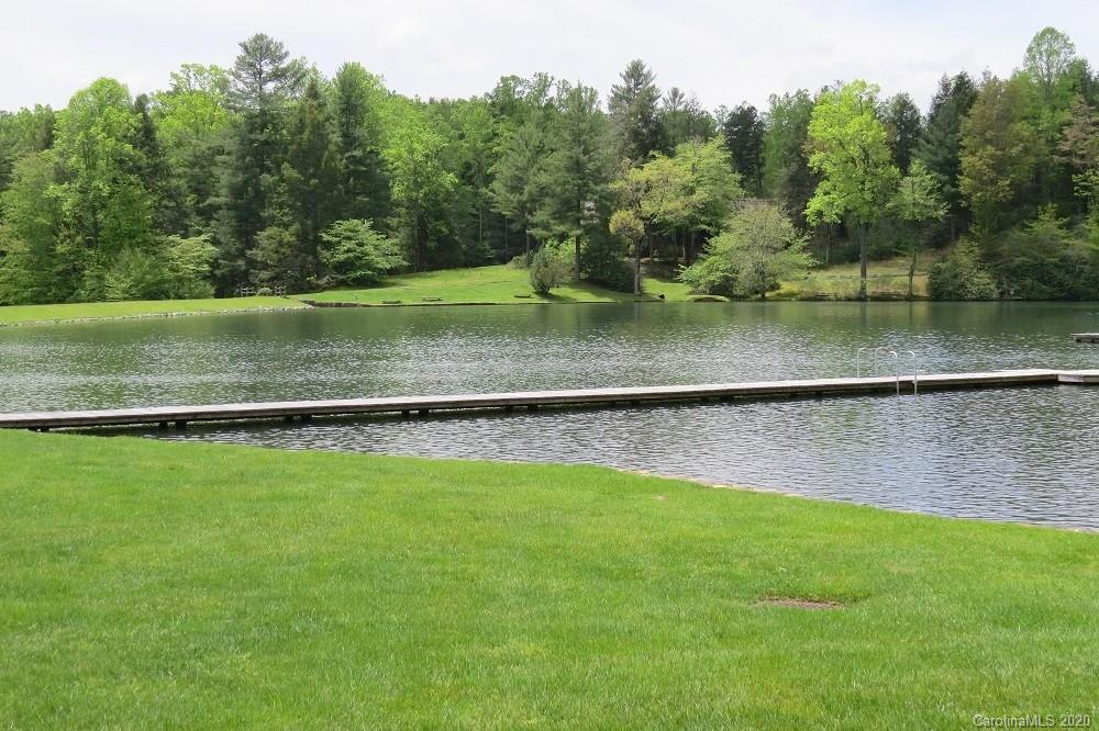 445 Camptown Road Brevard, NC 28712 - Photo 45 of 47 Gallery Image 45