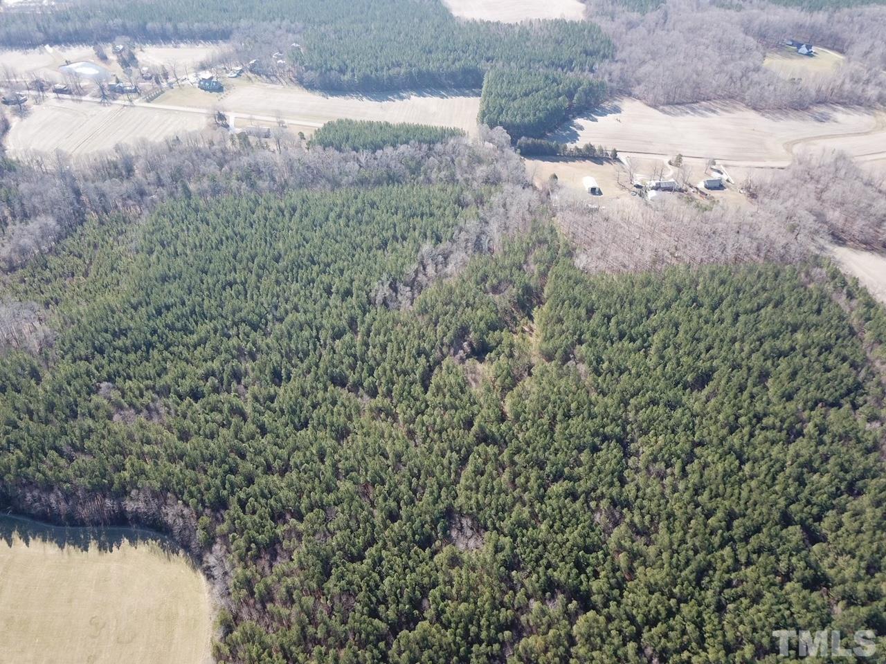 a view of a yard covered with trees