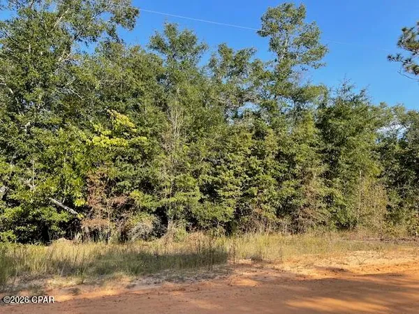 $10,000 | 0 Koskiosko Drive, Alford, FL 32420