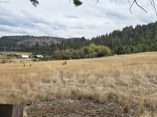 $225,000 | North Fork Road, Long Creek, OR 97856