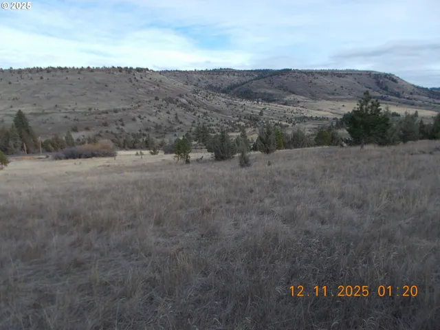 a view of a dry field with mountains in the background