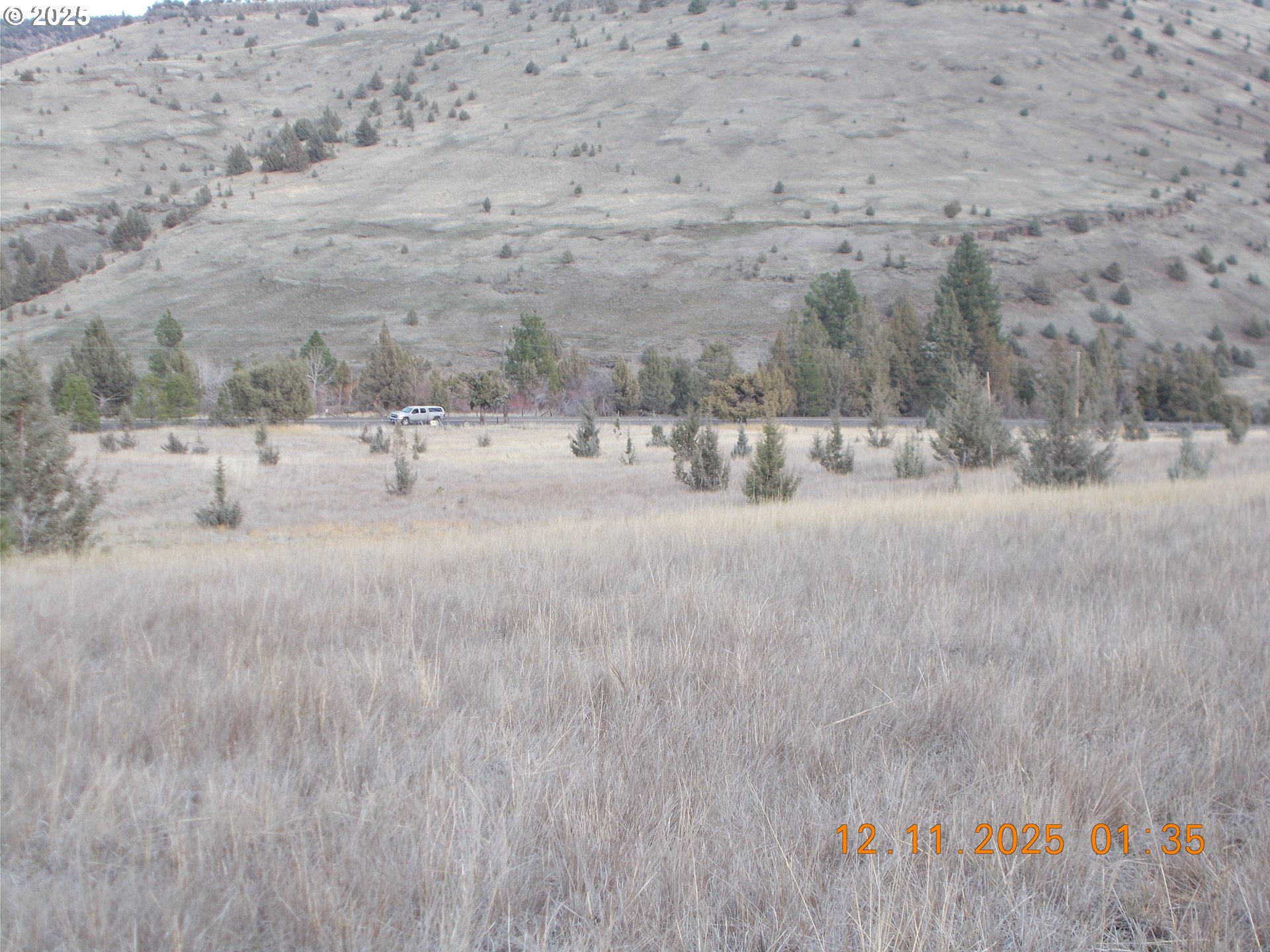 North Fork Road Long Creek, OR 97856 - Photo 20 of 20 a view of a dry yard with trees